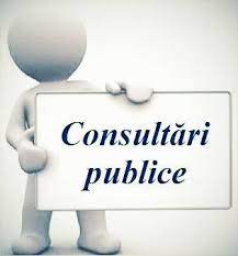 Consultări publice